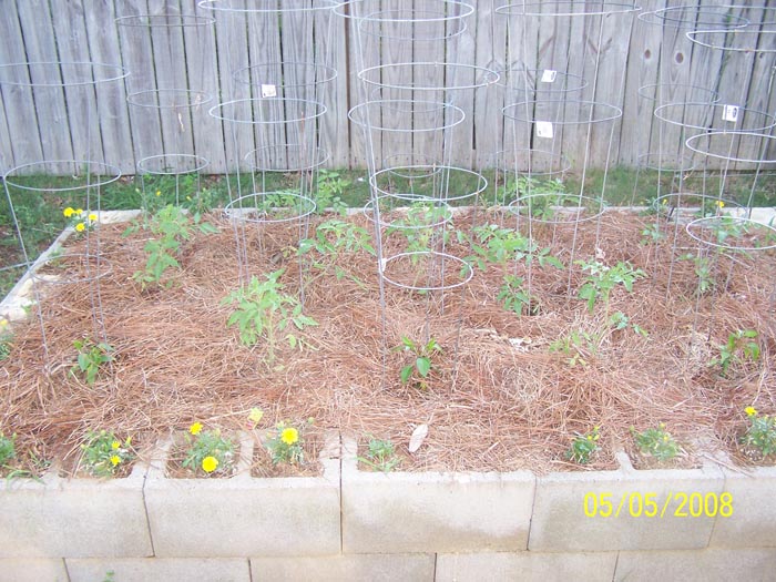 08 42 tomatoes and peppers