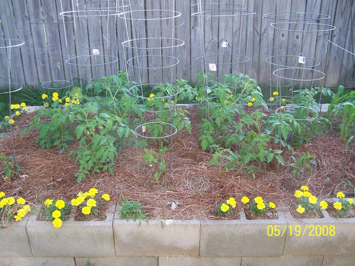 08 75 tomatoes and peppers