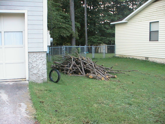 04-08 04 firewood