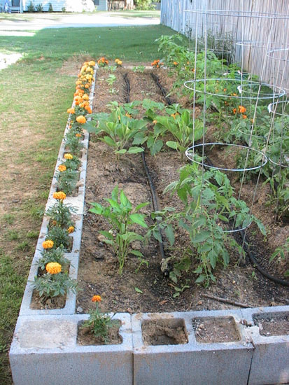 05-05 32 garden