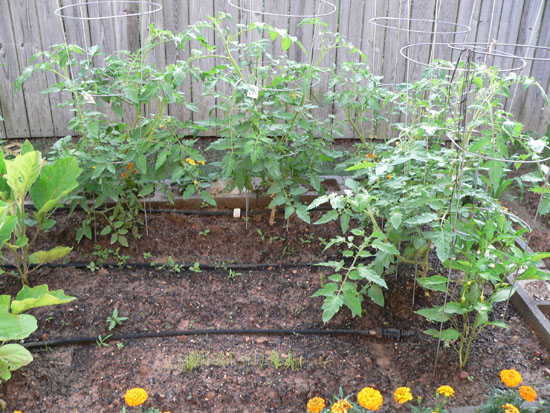 05-06 58 garden