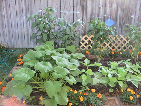 05-06 66 garden