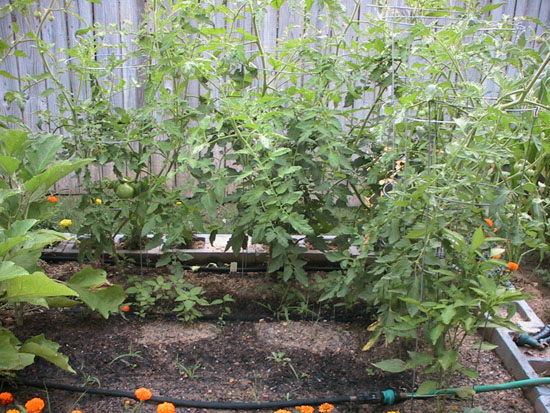 05-06 95 garden